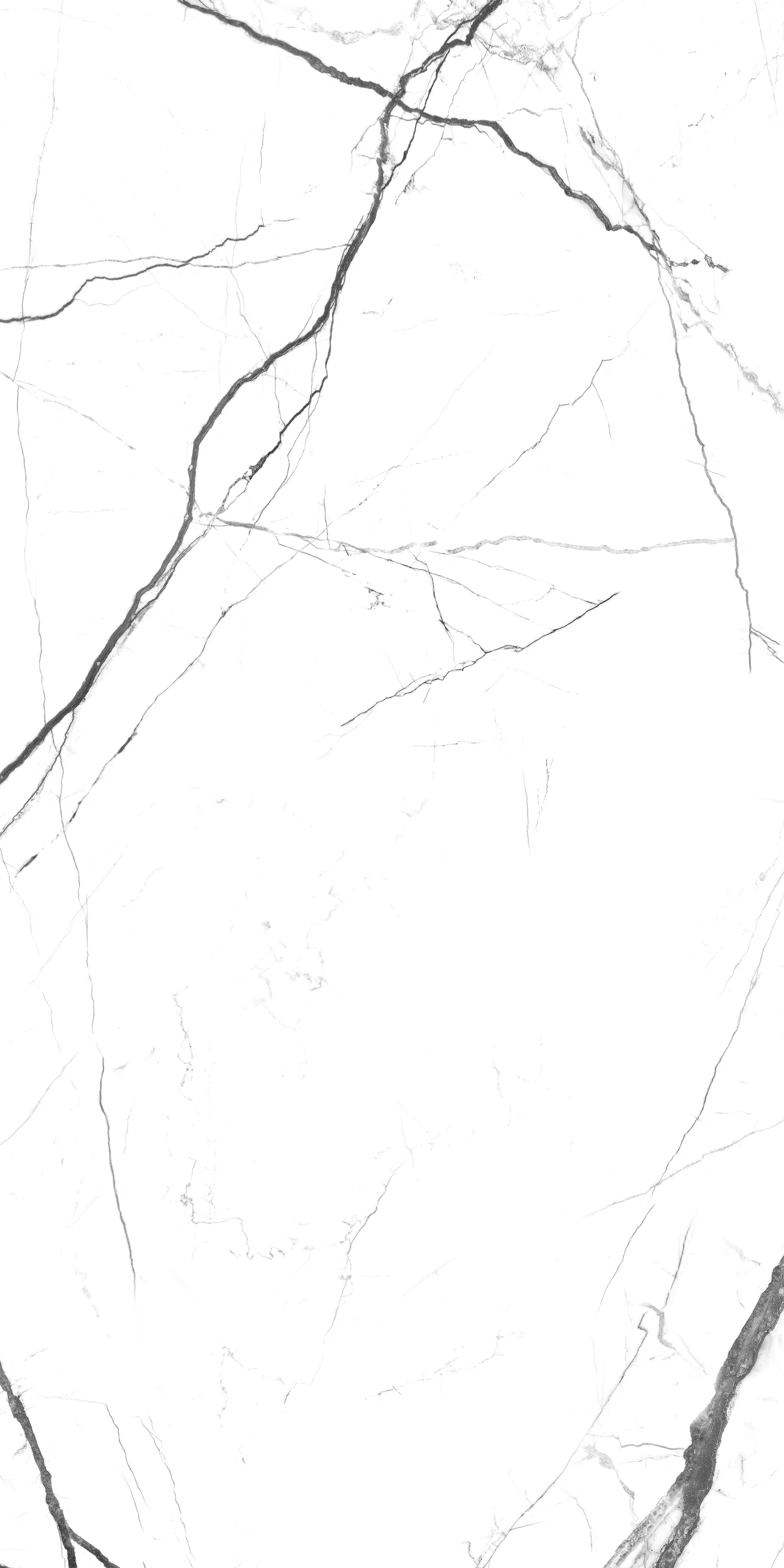 ALBA VEINS