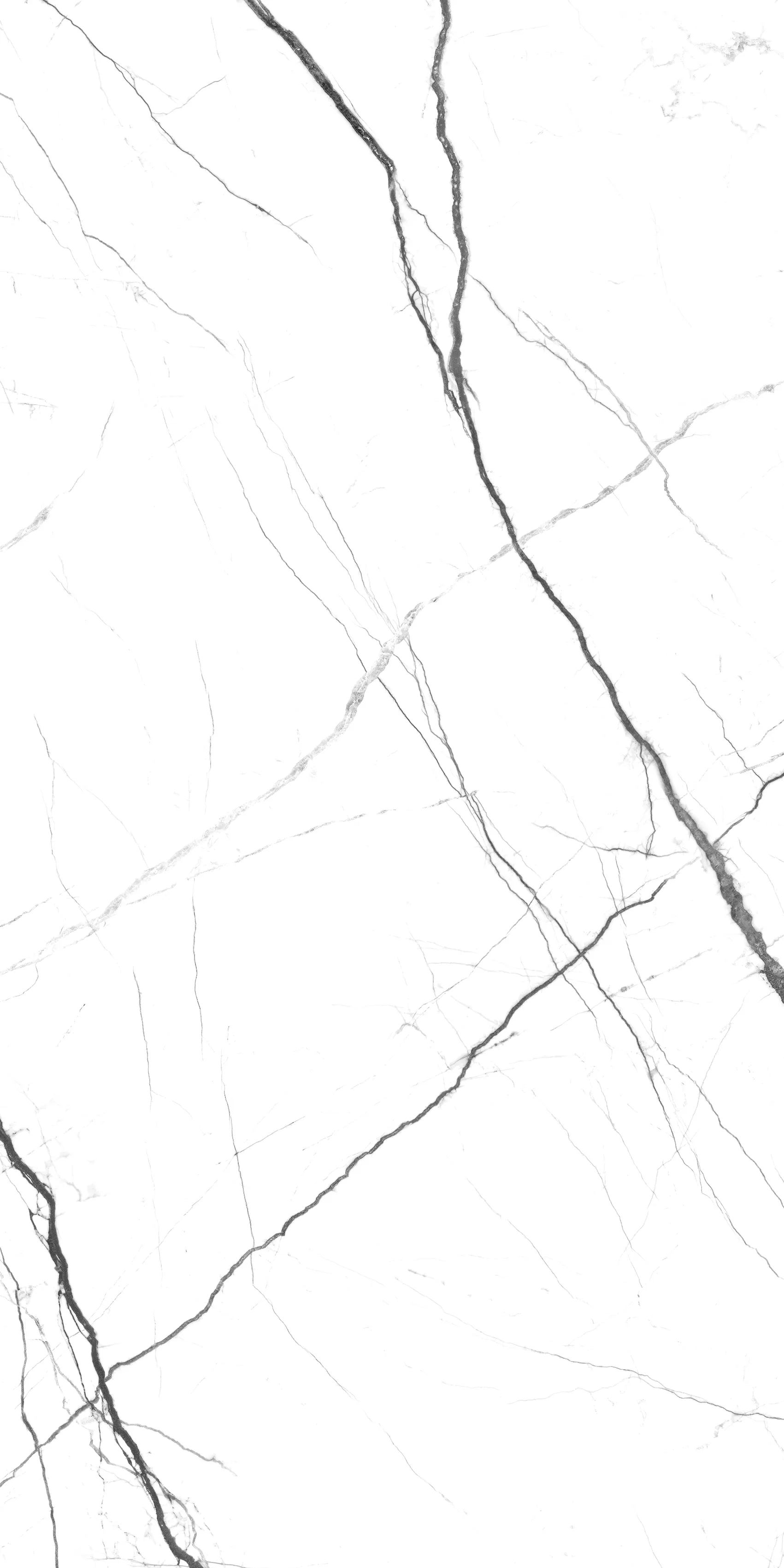 ALBA VEINS