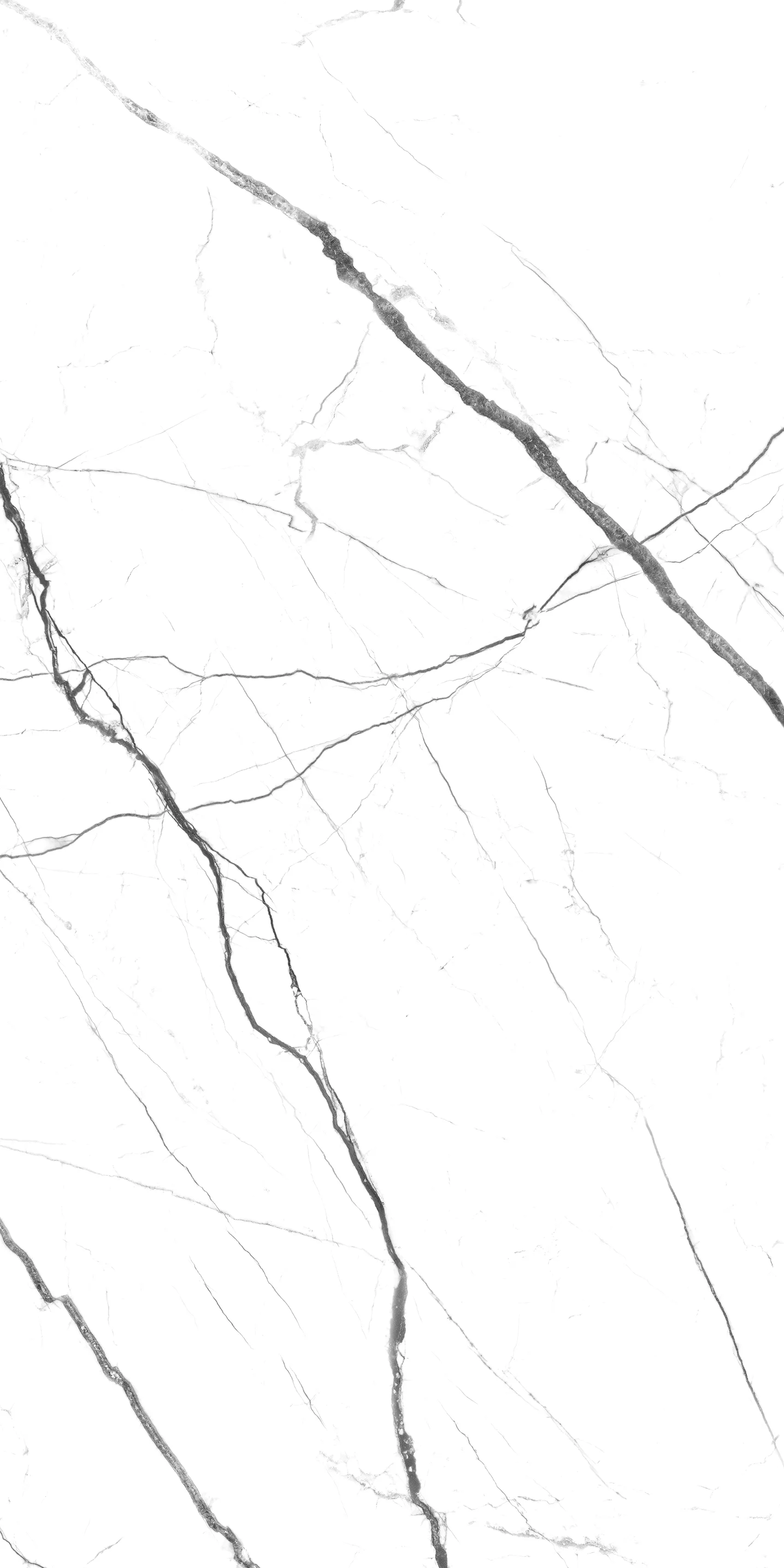ALBA VEINS
