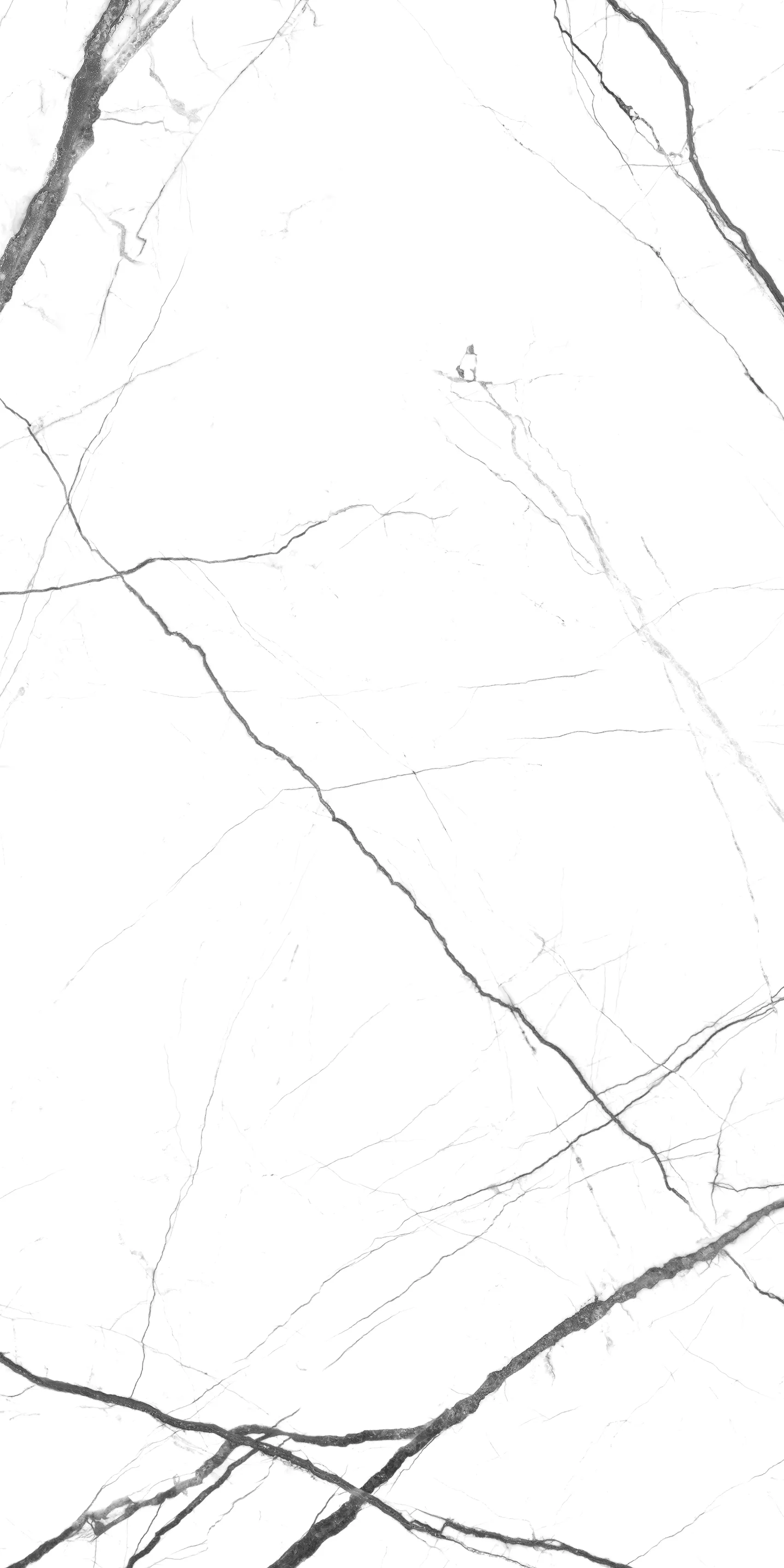 ALBA VEINS