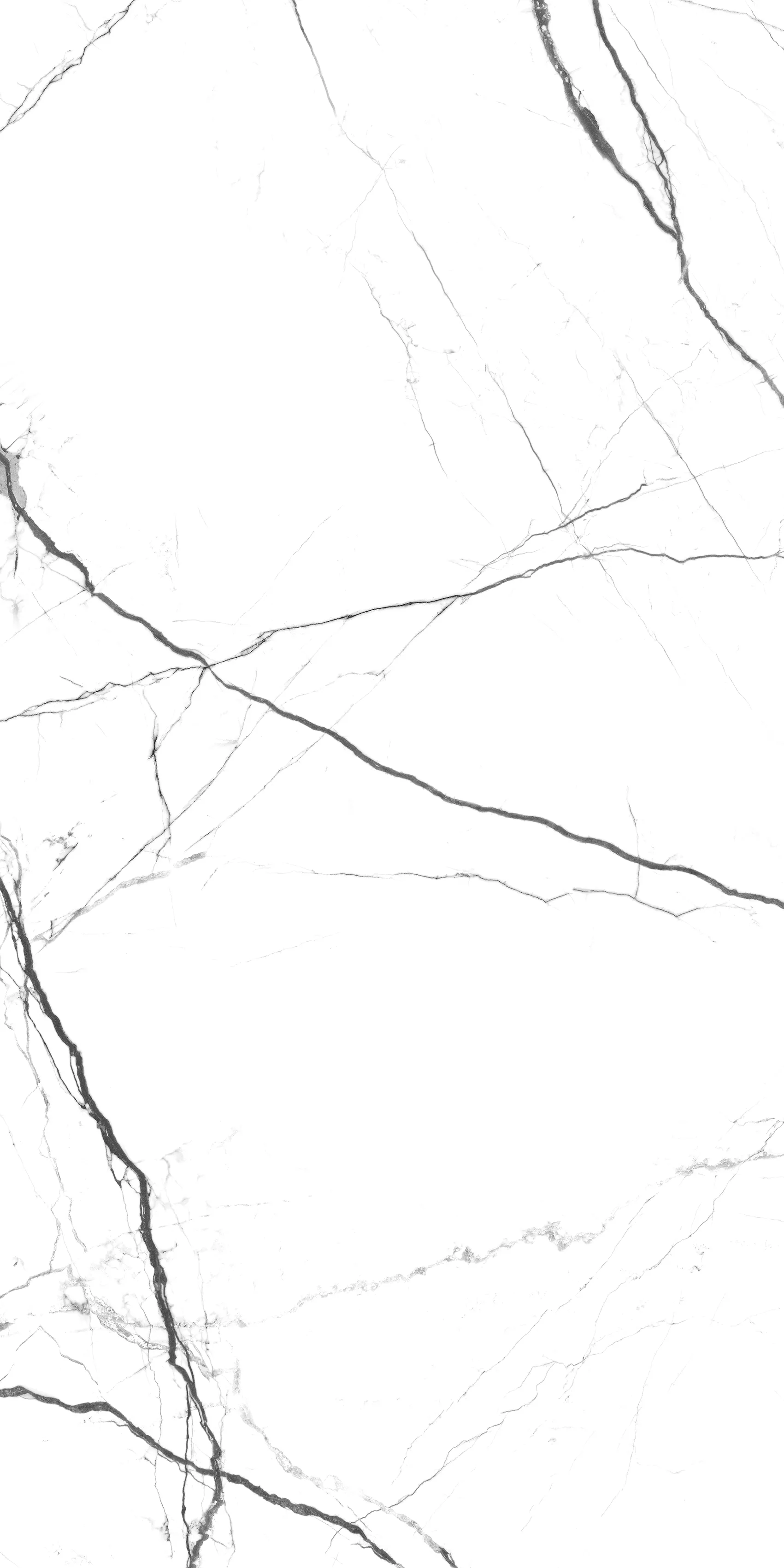 ALBA VEINS