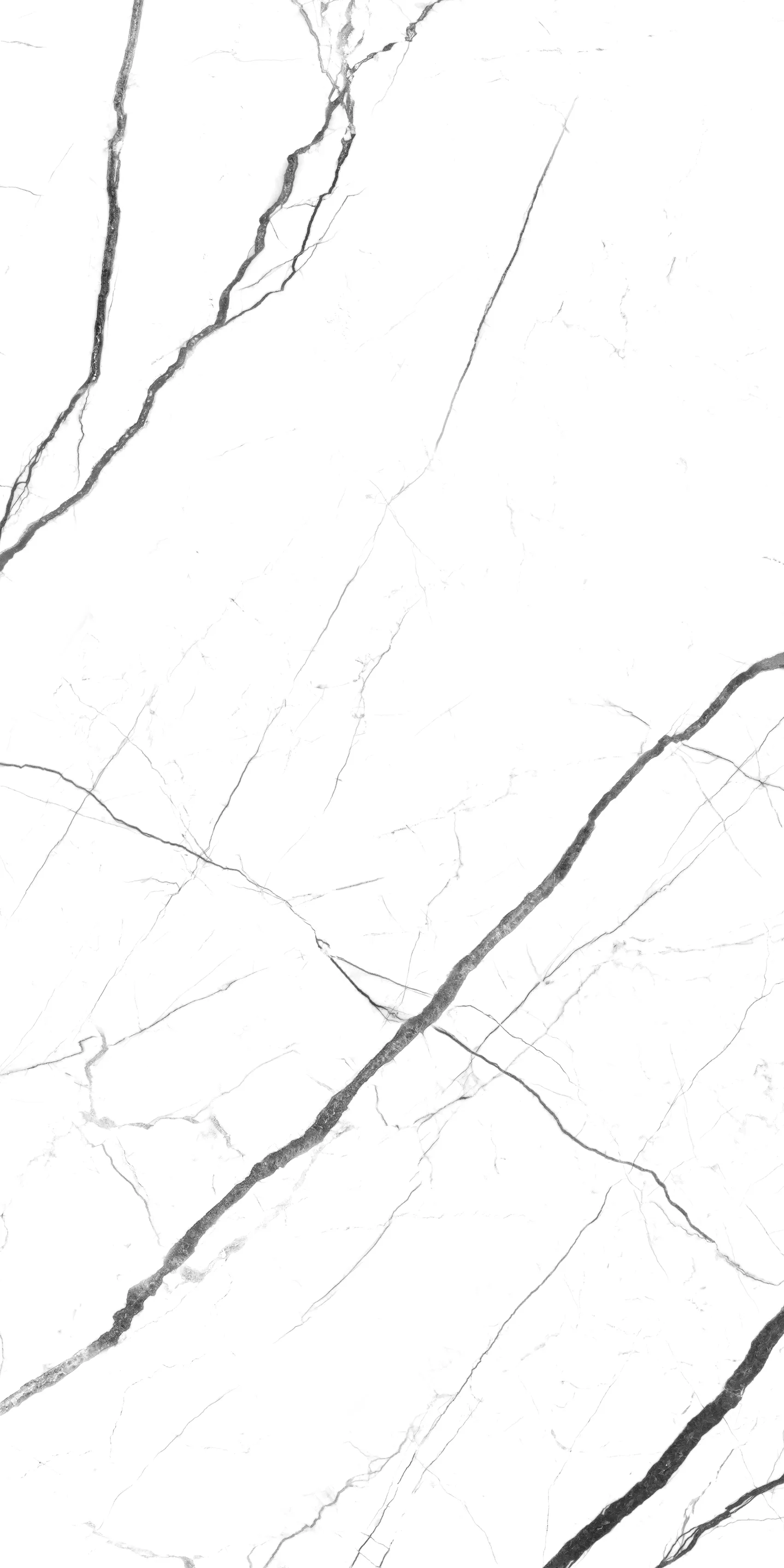 ALBA VEINS