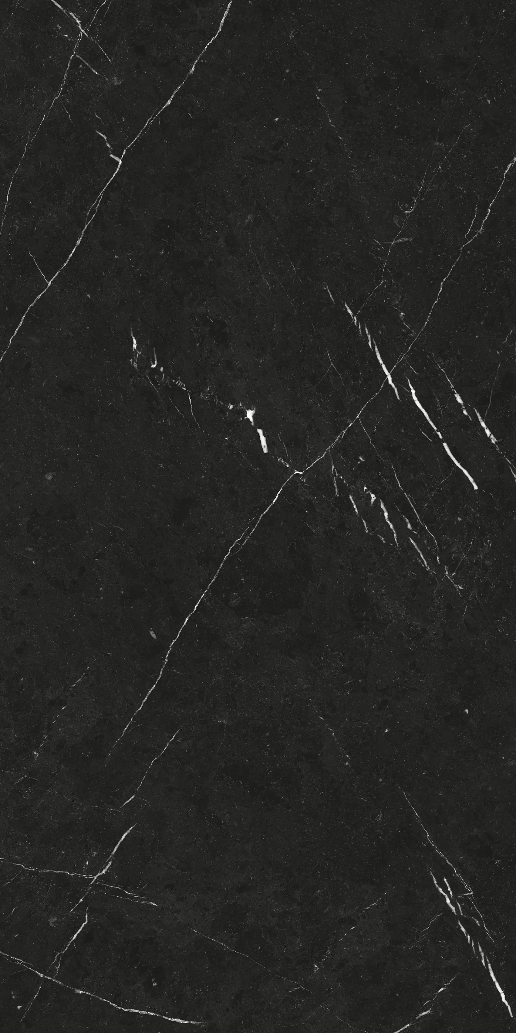 PIETRA NEGRO