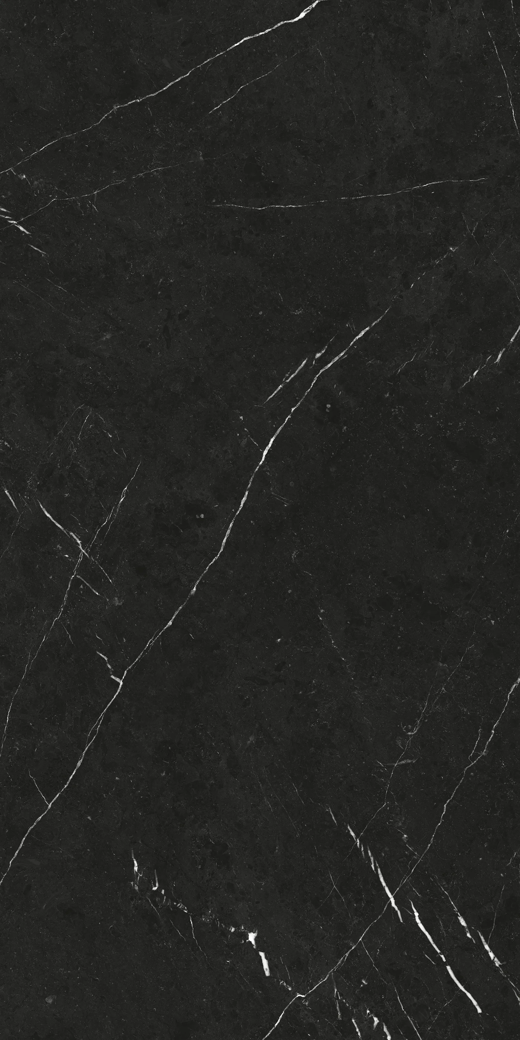 PIETRA NEGRO