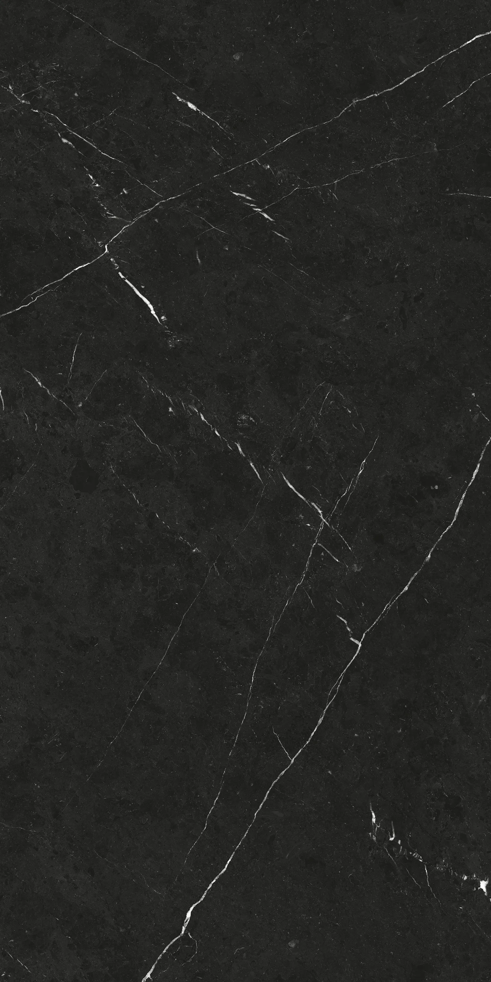 PIETRA NEGRO