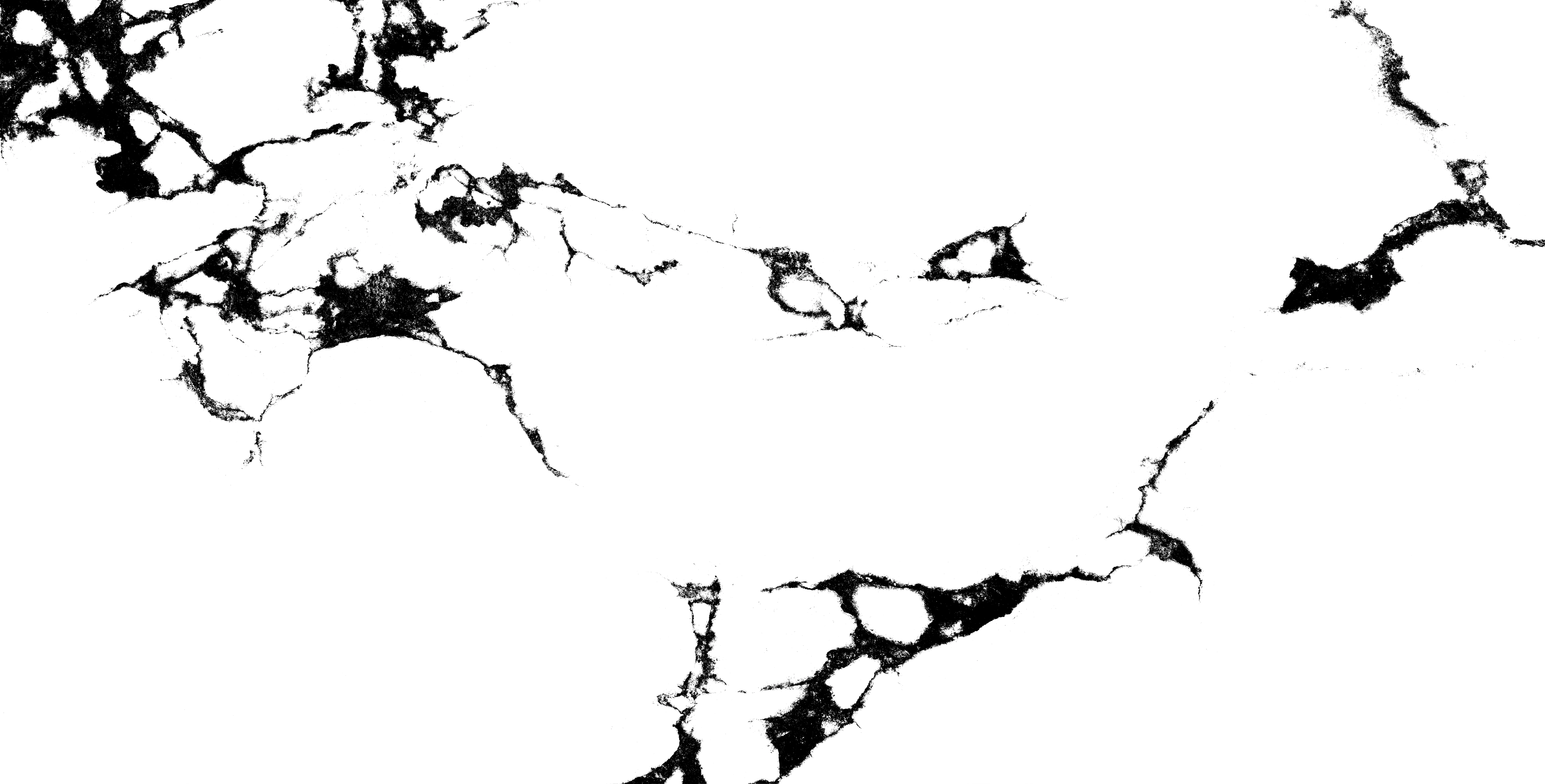 NX STATURIO VISTOSA