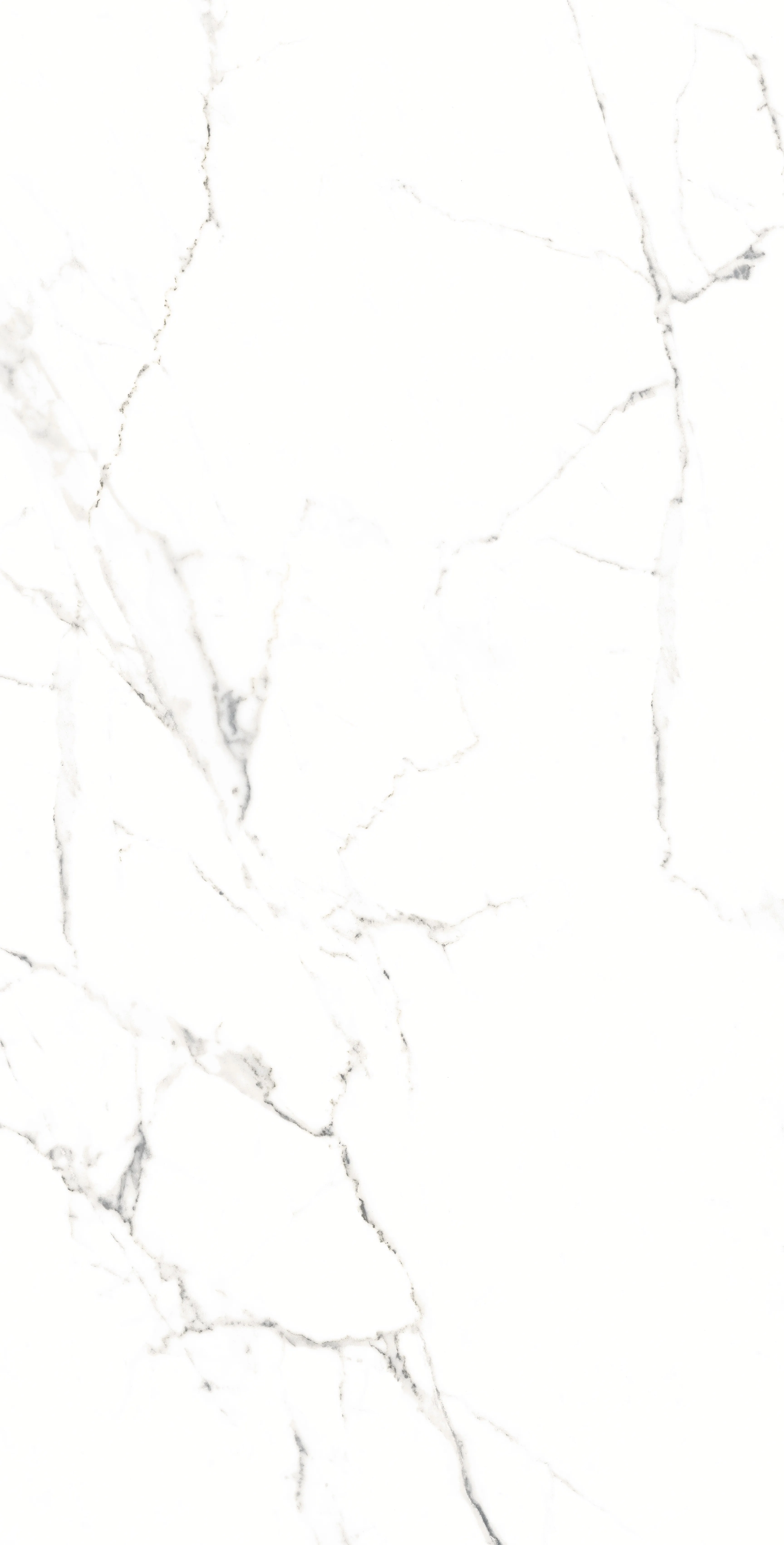 ASTENA STATUARIO